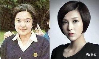 港星爆料大咖整容视频,大咖整容内幕大揭秘  第1张